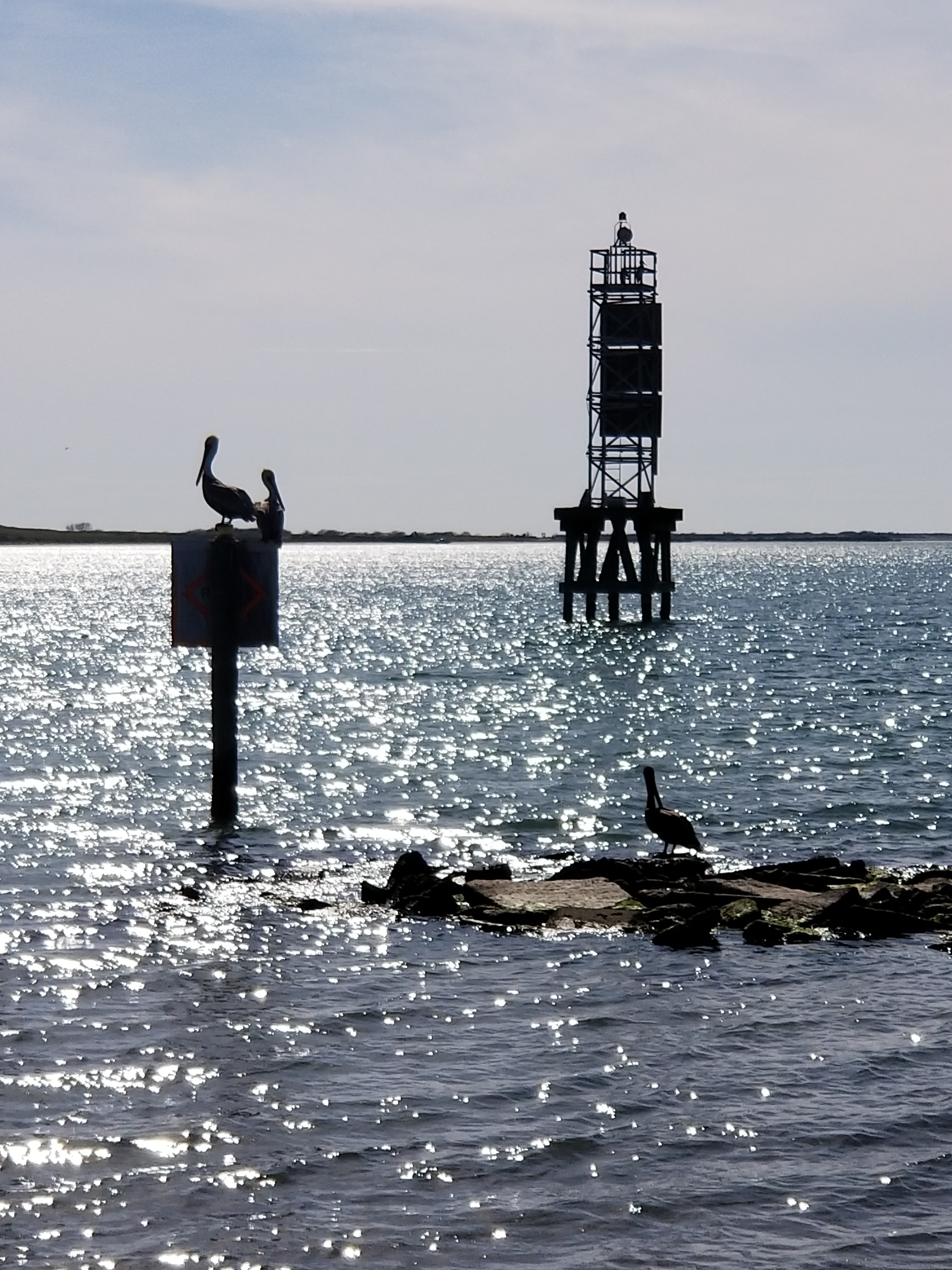 A serene beach scene